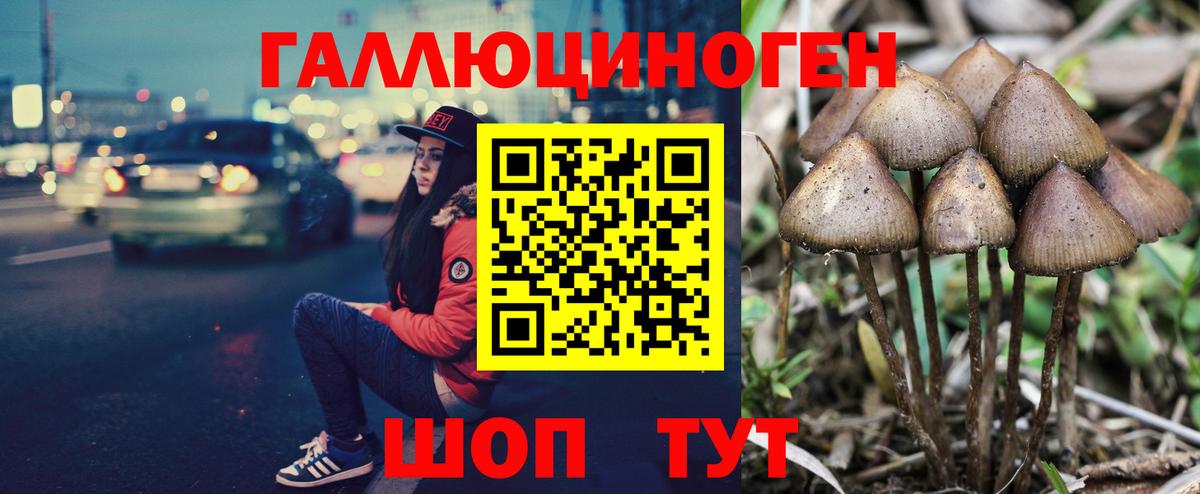 Чусовой  Псилоцибиновые грибы мицелий  Вход с VPN 