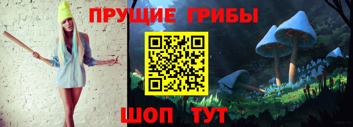 Псилоцибиновые грибы Psilocybine cubensis Чусовой